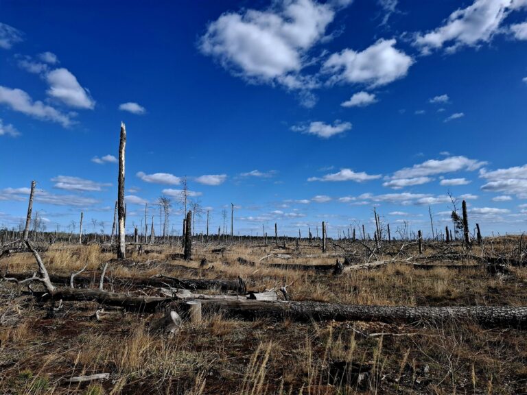 Hitzeaktionstag: Ein Weckruf für unsere Klimaanpassung